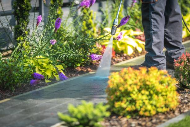  Hampton Manor, NY Pressure Washing Pros
